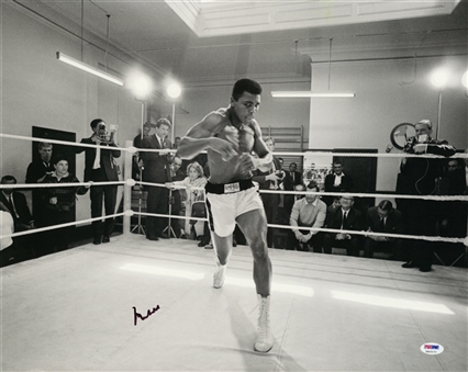 Muhammad Ali Signed 16x20 Photo In Boxing Ring (PSA/DNA)